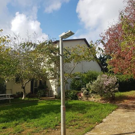 Apartamento פינה חמה ברמה Ein Zivan Exterior foto