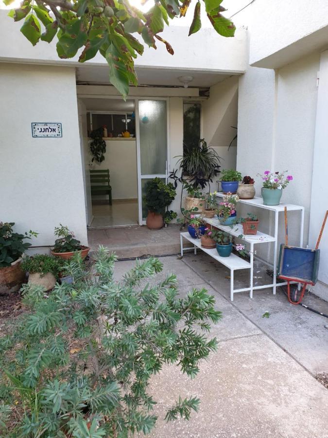 Apartamento פינה חמה ברמה Ein Zivan Exterior foto