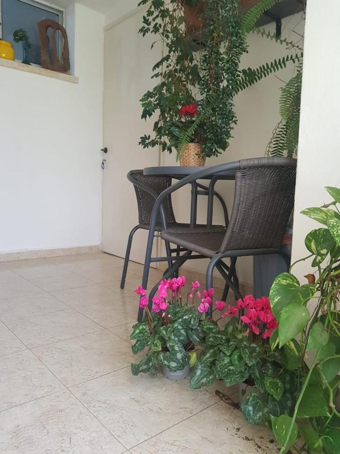 Apartamento פינה חמה ברמה Ein Zivan Exterior foto