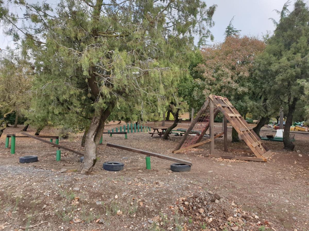 Apartamento פינה חמה ברמה Ein Zivan Exterior foto