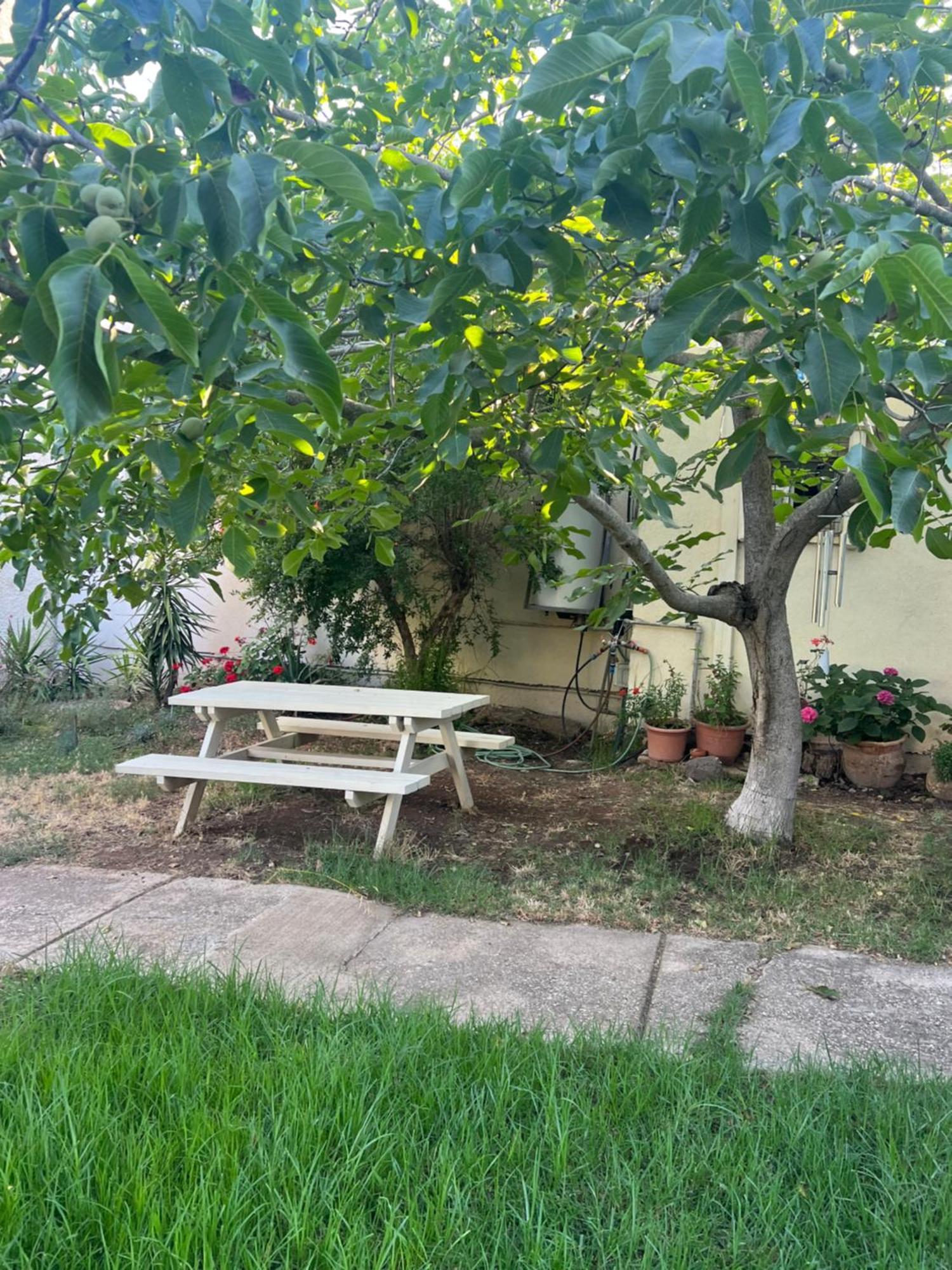Apartamento פינה חמה ברמה Ein Zivan Exterior foto
